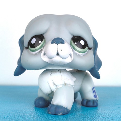 Authentic littlest pet - authentic, shop