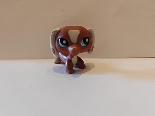 Petshop teckel 1631 figurine - petshop, teckel#1631