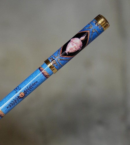 Charmant stylo plume waterman - plume,