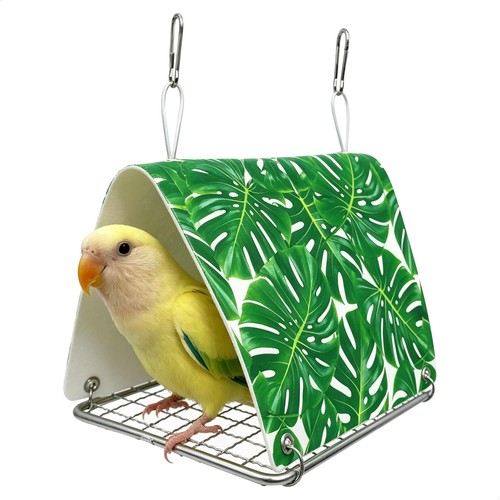 Perchoir perroquet nid oiseaux - perchoir,