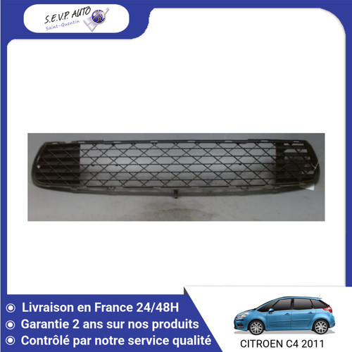 Grille pare choc - 🇫🇷,