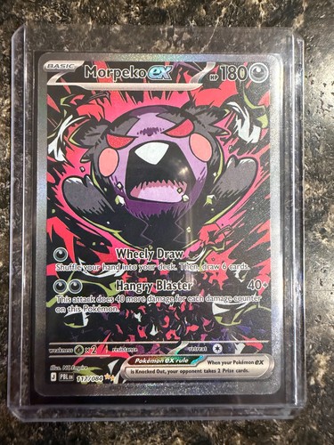 Pokémon morpeko pitch - morpeko,