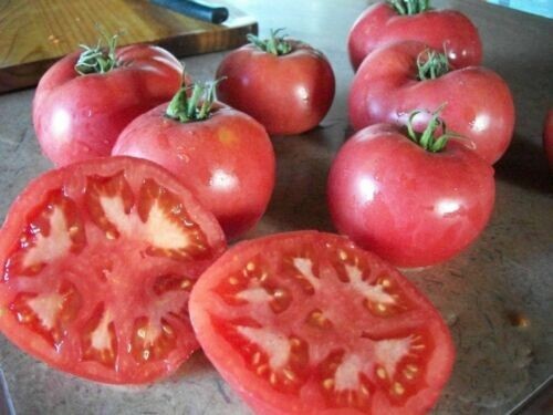 Tomate ancienne rose - , berne