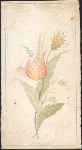 1910 dessin original aquarelle - 1910,