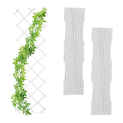 Trellis tuteur treillis