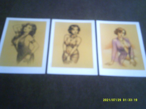 Libris l paturaud - ex,