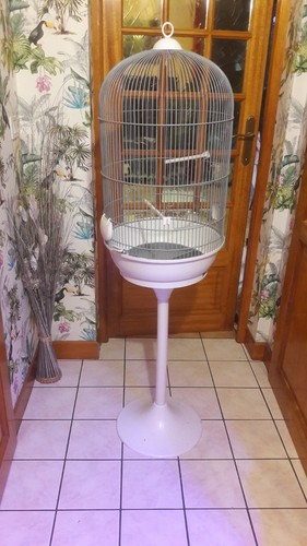Cage oiseau ronde sur - ronde, pied