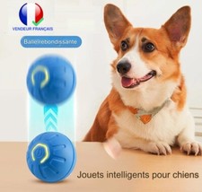 Balle Jouet Interactive Pour
