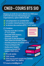 Cned cours bts sio - bts, sisr/slam