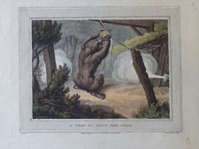 HOWITT (1765-1822) BELLE