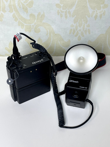 Quantum qflash model - model, with