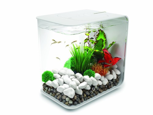 Biorb flow liter - flow,