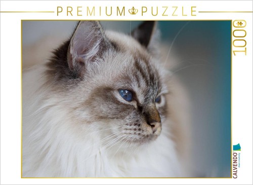 Puzzle calvendo chat sacré - sacré, de