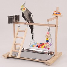 Aire de jeux pour perroquets