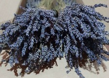 Lavande Séchée Grecque Certifiée Biologique 1-22 Grappes 32 cm | 2025