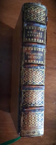 Physiologie goût de - physiologie,
