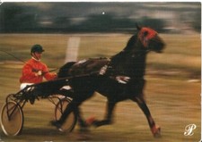 CPSM animée Trotteur attelé