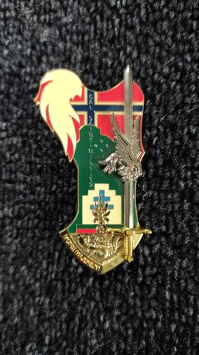 Insigne promotion saint cyr - saint,
