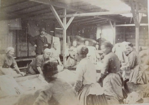 D95 roche guyon 1891 les - ,