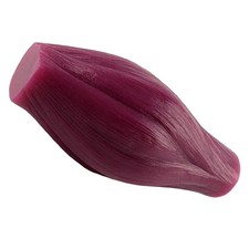 Modèle de muscle humain