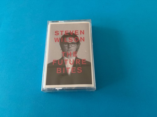 Steven wilson the - steven,