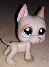 Petshop chien Danois Dogue