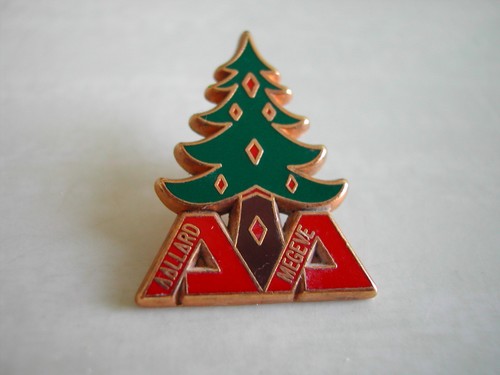 Pin montagne sport - pin's, et