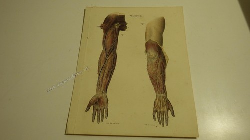 1850 lithographie couleur - 1850.lithographie,