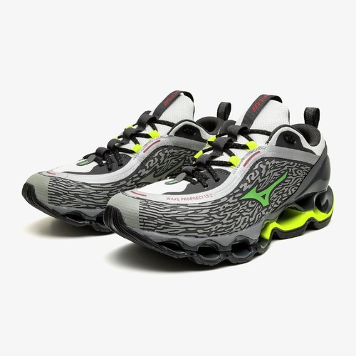 Mizuno wave prophecy - mizuno,