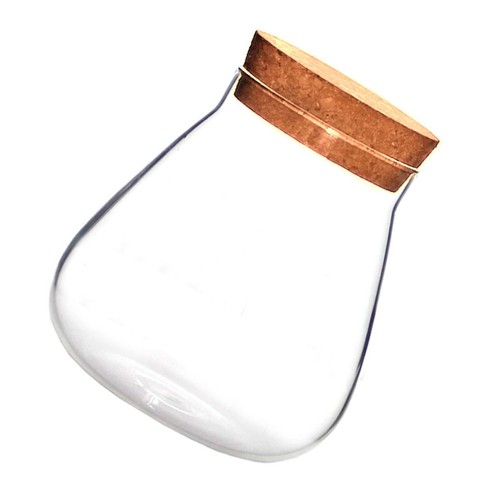 Terrarium pour boule - terrarium,