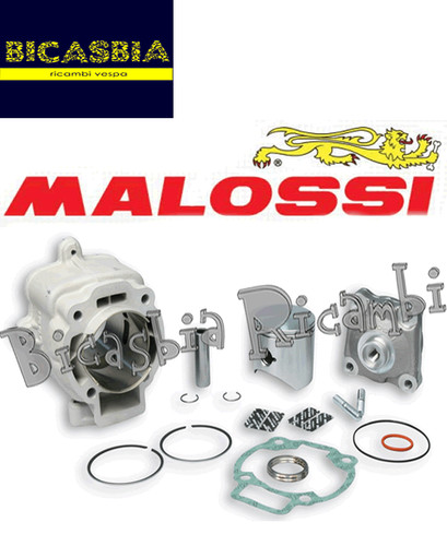 7698 cylindre malossi - 7698, dm