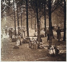 Première Guerre mondiale