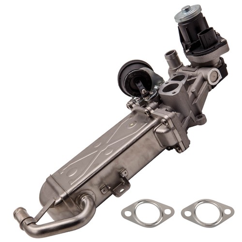 Vanne egr refroidisseur for - refroidisseur, vw