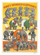 CIRQUE KNIE'S WONDER ELEPHANTS