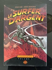 LE SURFER D'ARGENT