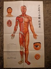 Lot 6 Planches Affiches