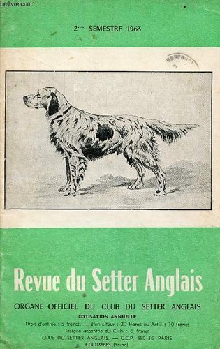 Revue setter anglais organe - anglais,