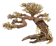 Bonsaï M Bois Naturel 23 30