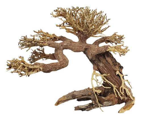 Bonsaï bois naturel 30 - 23,