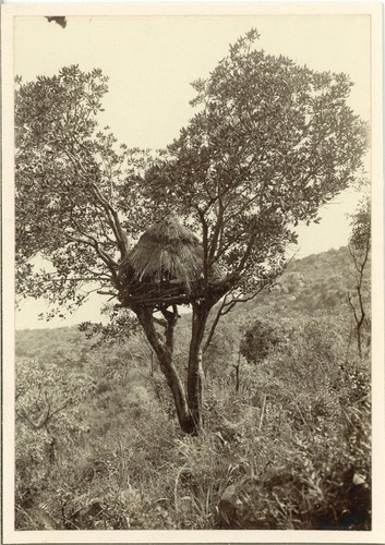 Africa old post - old,