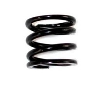 SERPENT 901149 ressort de