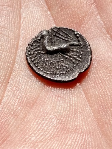 Monnaie gauloise denier - monnaie,