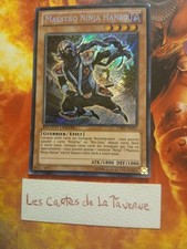Carte YU GI-OH! Maestro ninja