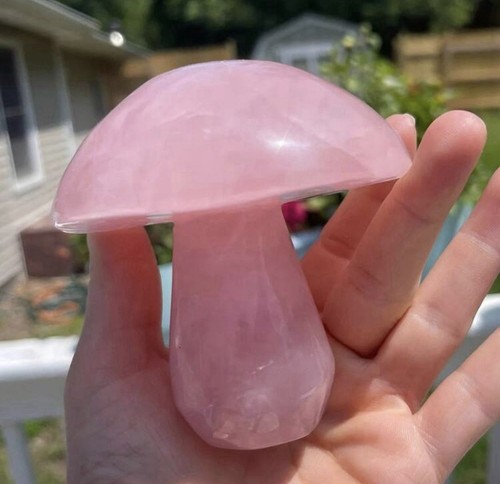Champignon quartz rose - quartz,