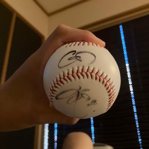 Hiroshima toyo carp ryo - toyo,
