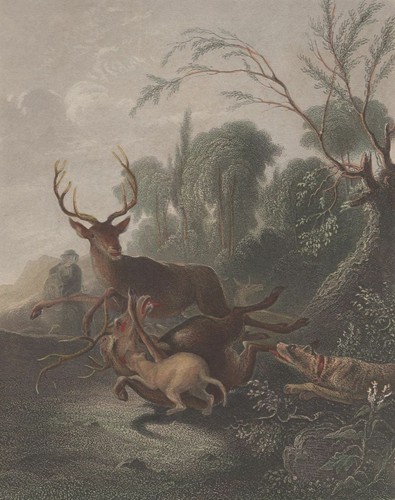 Carl borromäus andreas - carl,