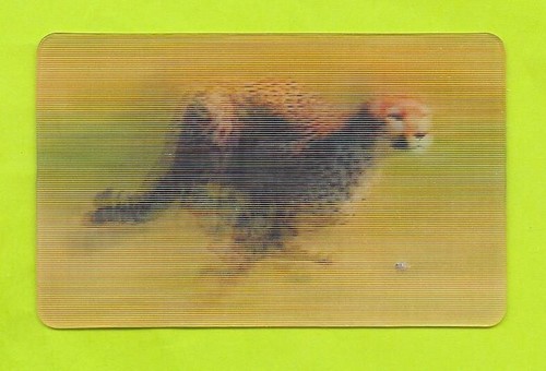 Carte cora match n - match, n°33/44