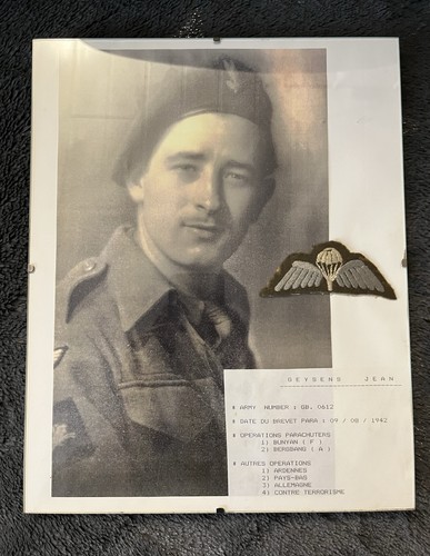 Insigne brevet parachutiste - brevet,