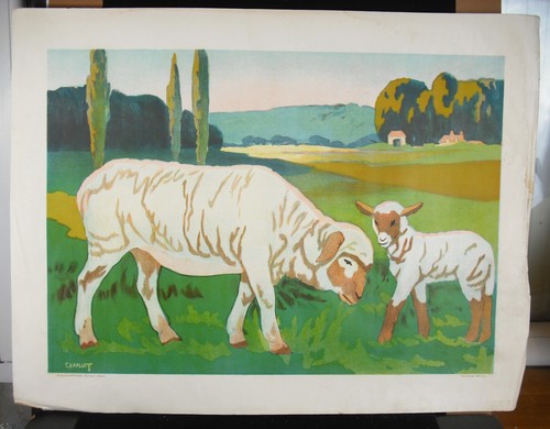 Affiche c1910 mouton agneau