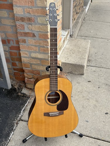 Seagull gloss spruce body - ,
